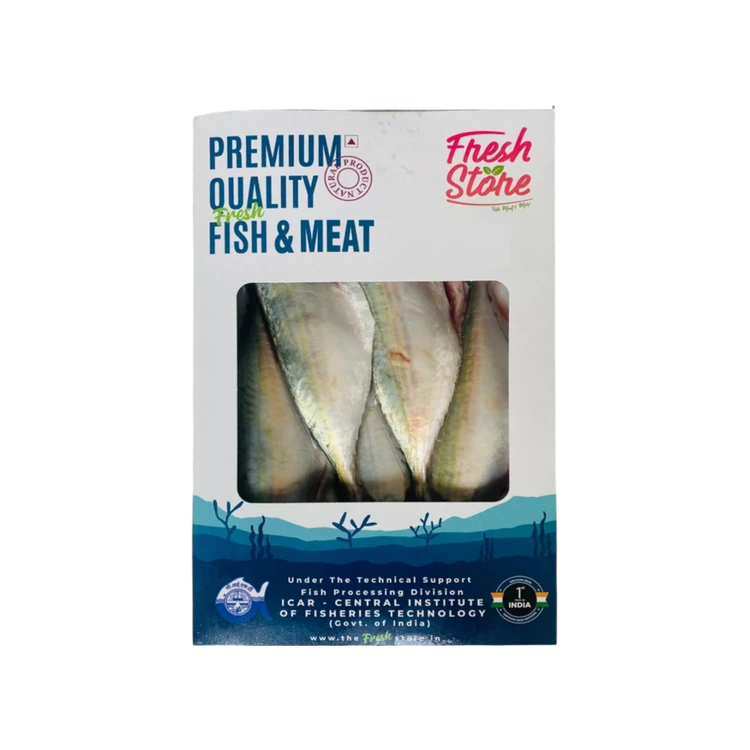 Fresh Store Mackerel / Ayala Fish with Head