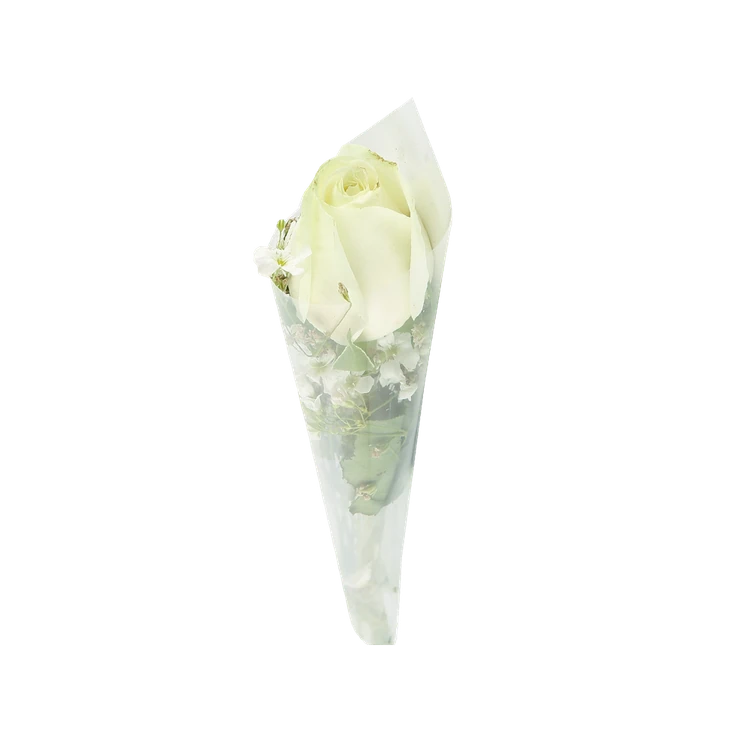 White Rose Flower Special Offer