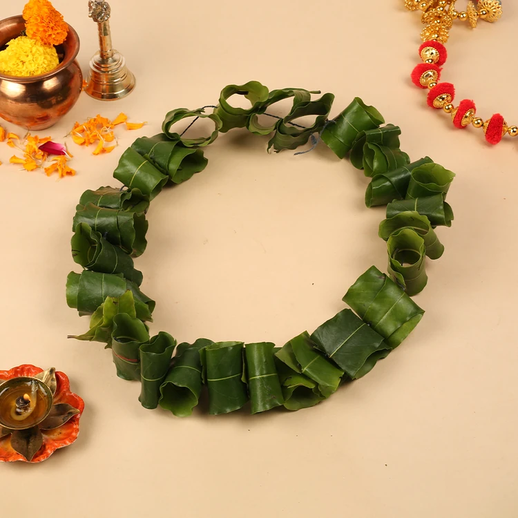 Ashoka Leaves String by Freshbury (Yelegala Male)