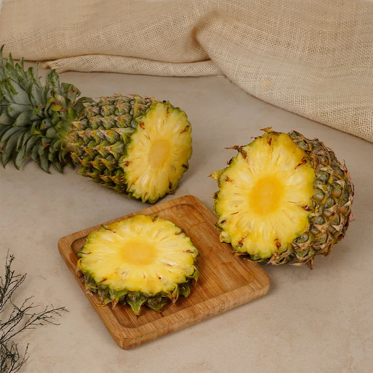 Queen Pineapple (Ananas)