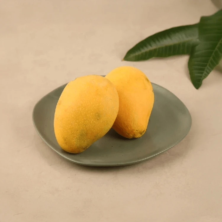 Organically Grown Safeda Mango - 2 piece (550-700 g)