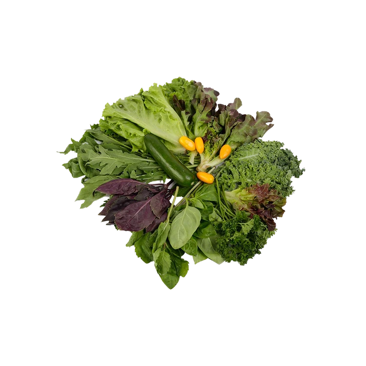 Spicy Summer Leafy Veggie Mix - Hydroponically Grown (Tarkari Mix)