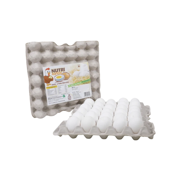 Nutri Hatch White Eggs
