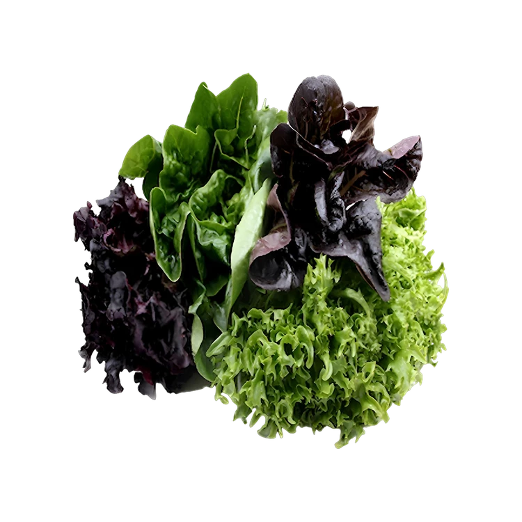 Lettuce Box - Hydroponically Grown (100-125) g (Letis Soppu)