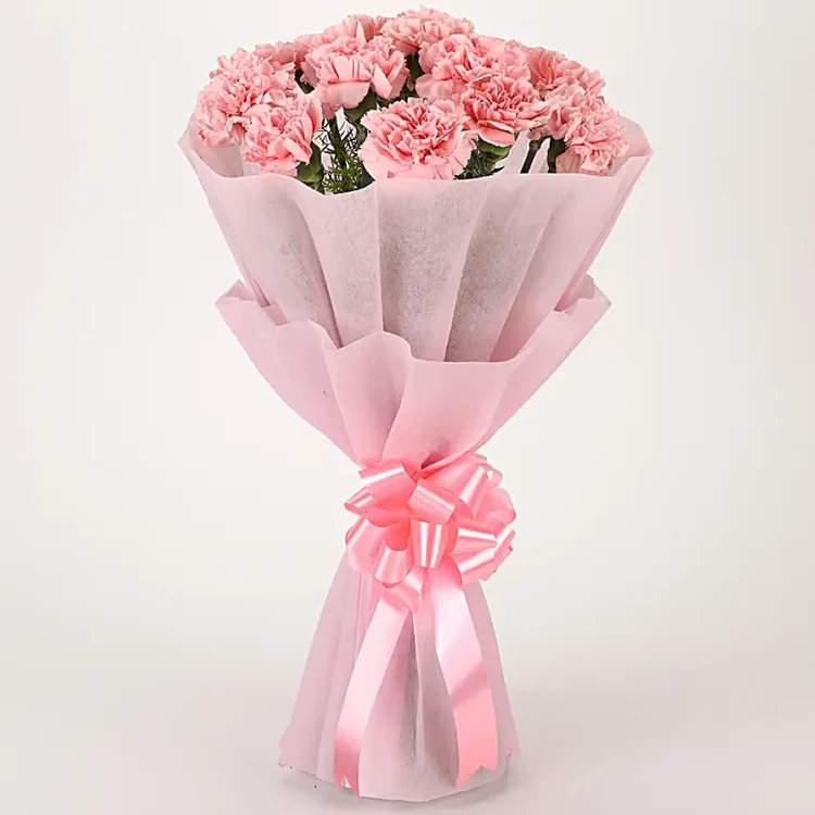 FNP 10 Pink Carnations Bouquet