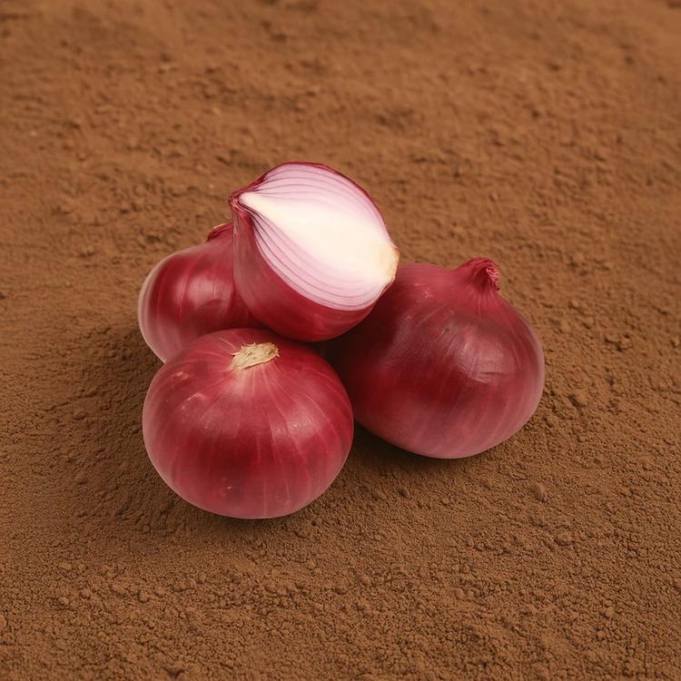 Organically Grown Onion - 500 g (Eerulli)