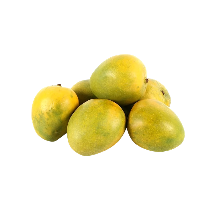 Malgova Mango (Maavina Hannu)