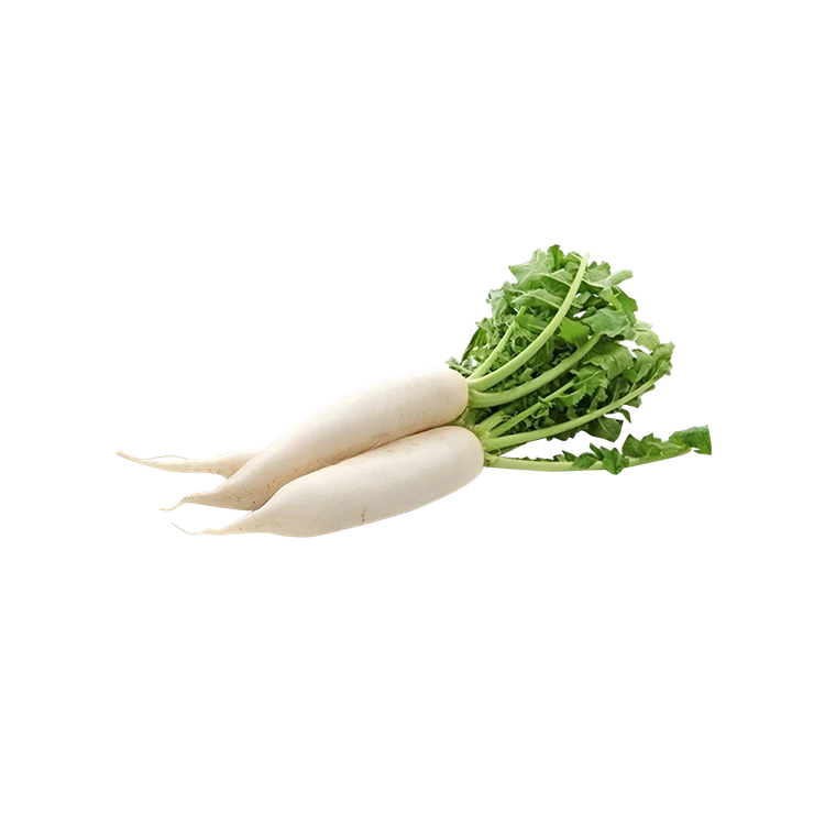 Radish with Leaves (Moolangi)