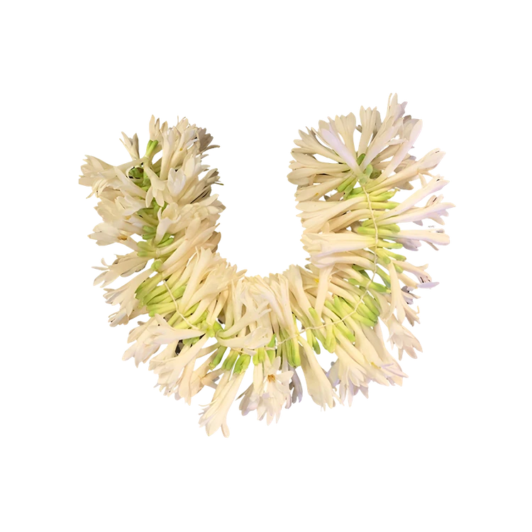 Rajnigandha Flower String (Hoovu Male)