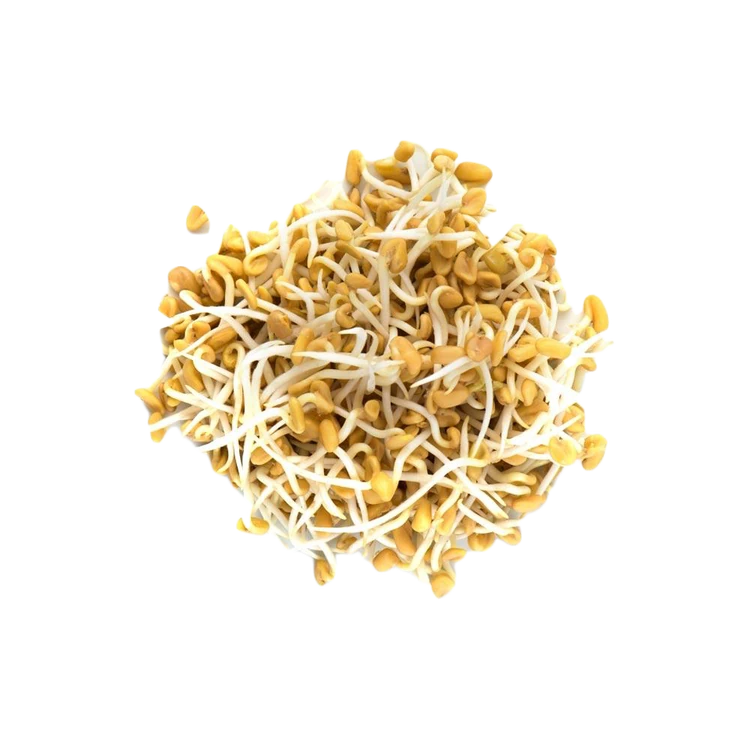 Fenugreek Sprouts (Menthya Molke)