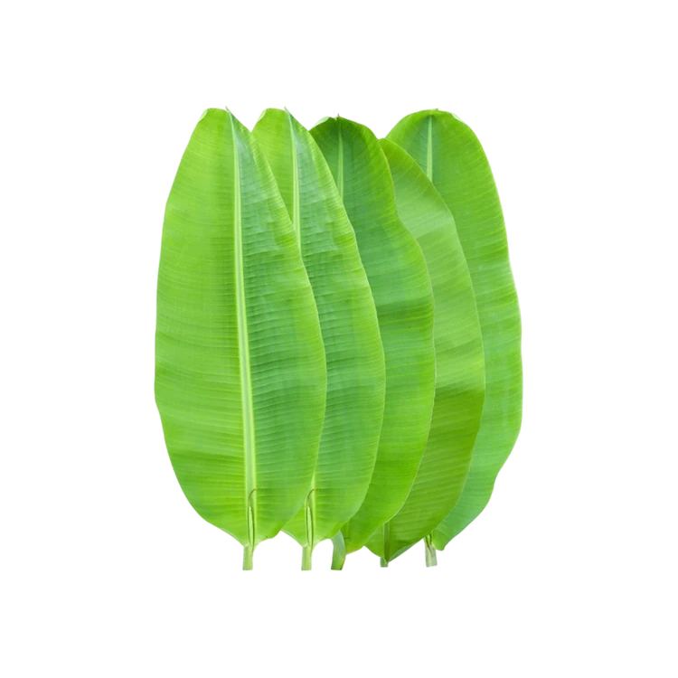 CC Banana Leaf by Freshbury (Baale Yele)