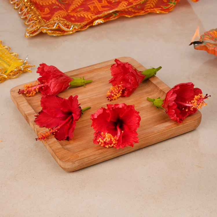 Hibiscus Flowers (Dasavala hoovu)
