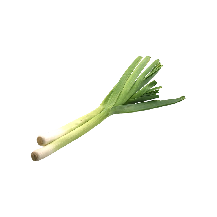Leek