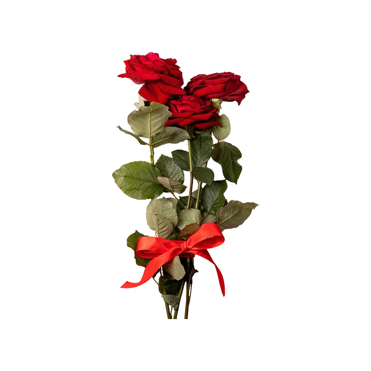 4 Red Roses Bouquet (Gulabi)