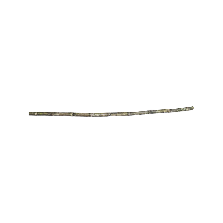 Sugarcane Stick (Kabbu)