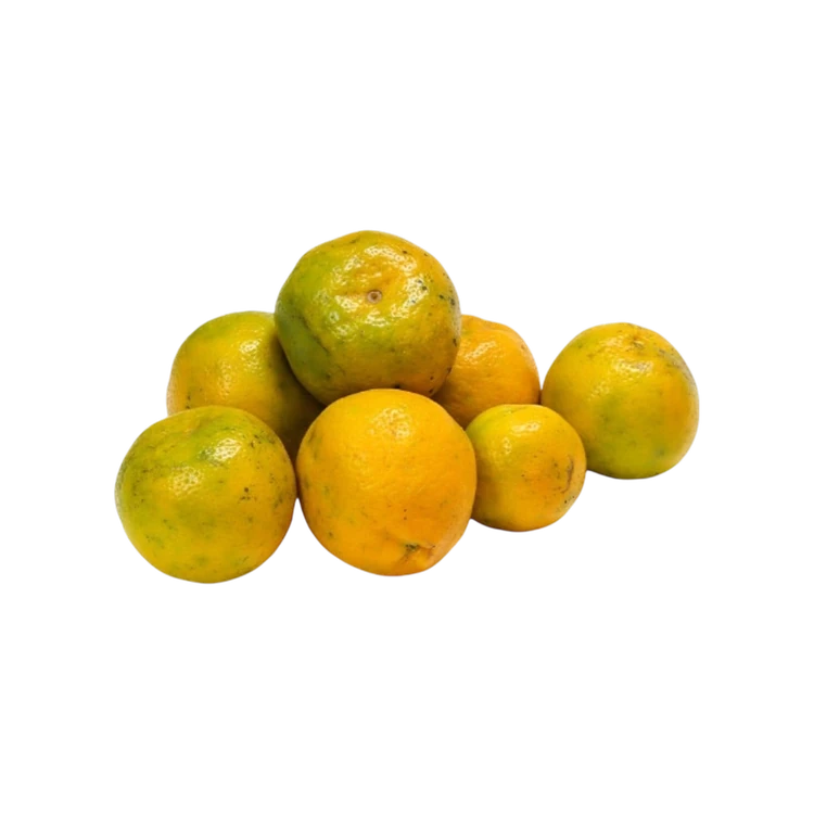 Organically Grown Nagpur Orange