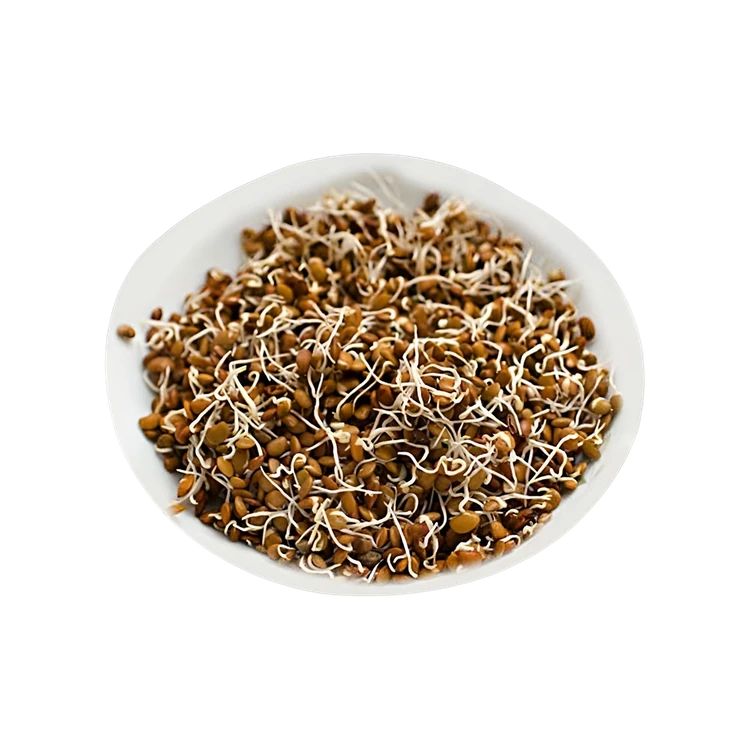 Horse Gram Sprouts (Molke Kalu)