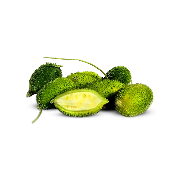 Spine Gourd (Maada Hagalakayi)