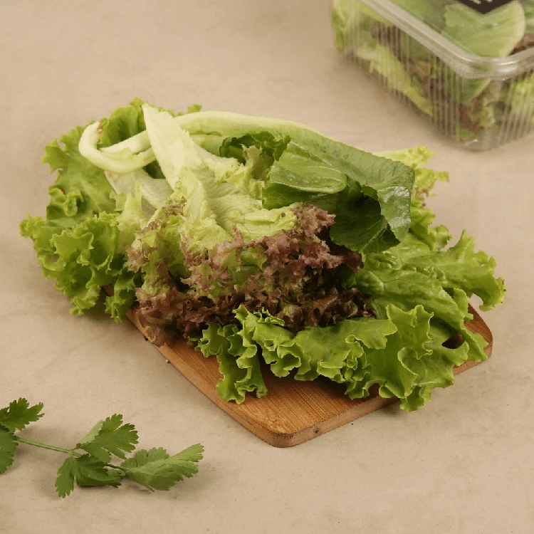 Lettuce Box - Hydroponically Grown (Letis Soppu)