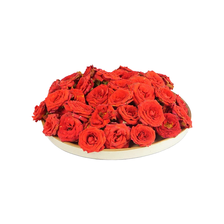 Button Rose (Desi Gulab) - Special Offer