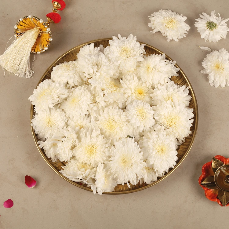 White Chrysanthemum Flowers (Sevanthige Hoovu)