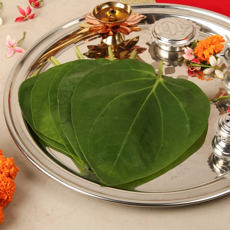 Betel Leaves Special Offer