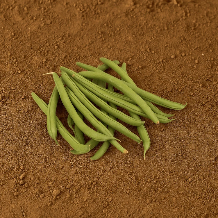 Organically Grown French Beans - 250 g (Hurulikayi)