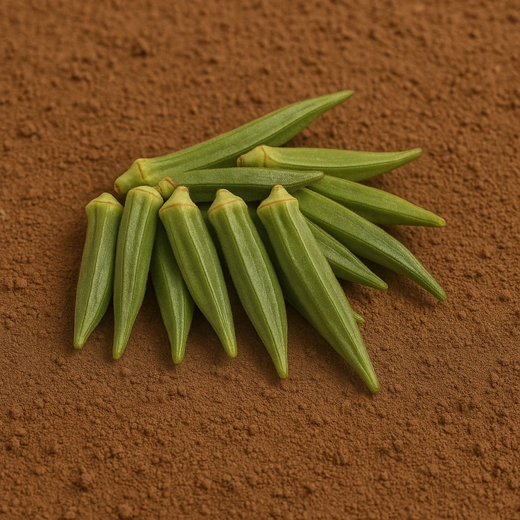Organically Grown Lady Finger - 250 g (Bendekayi)