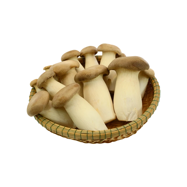 King Oyster Mushroom (Anabe)