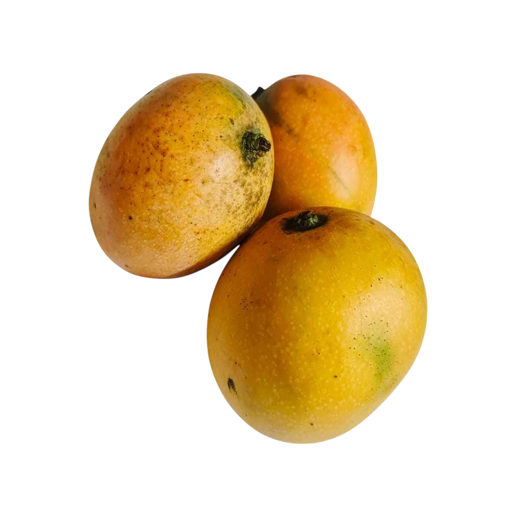 Kotturkonam Mango by