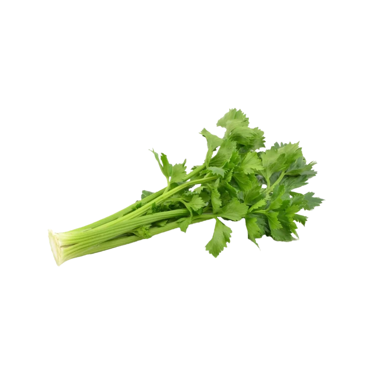 Celery by Deep Rooted