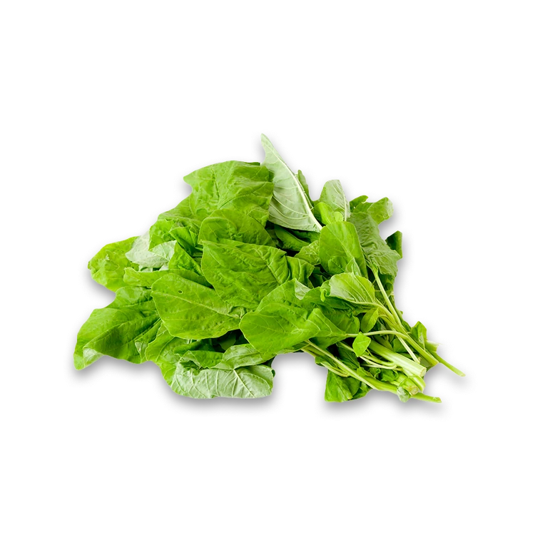 Green Amaranthus Leaves - Hydroponically Grown (Dantu Soppu)