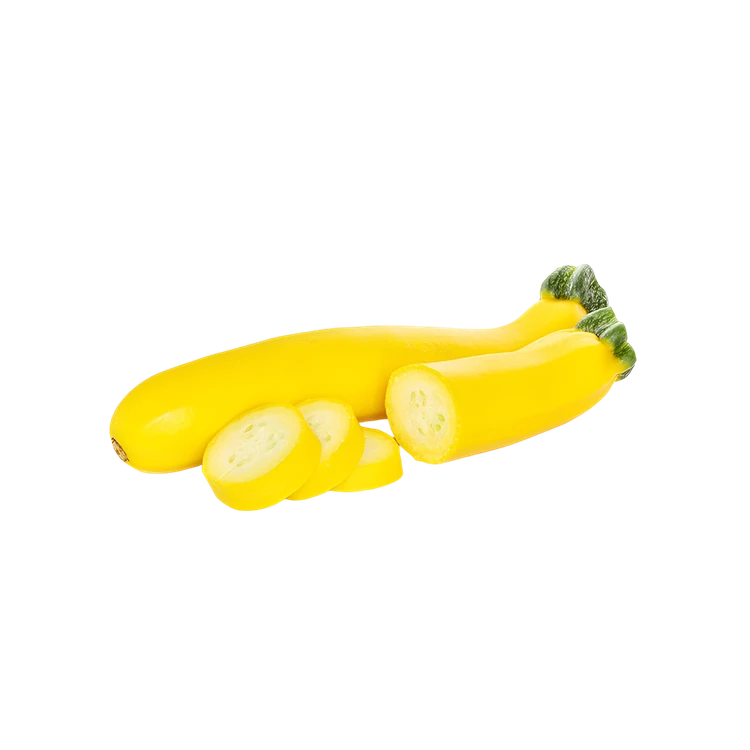 Yellow Zucchini Hydroponically Grown