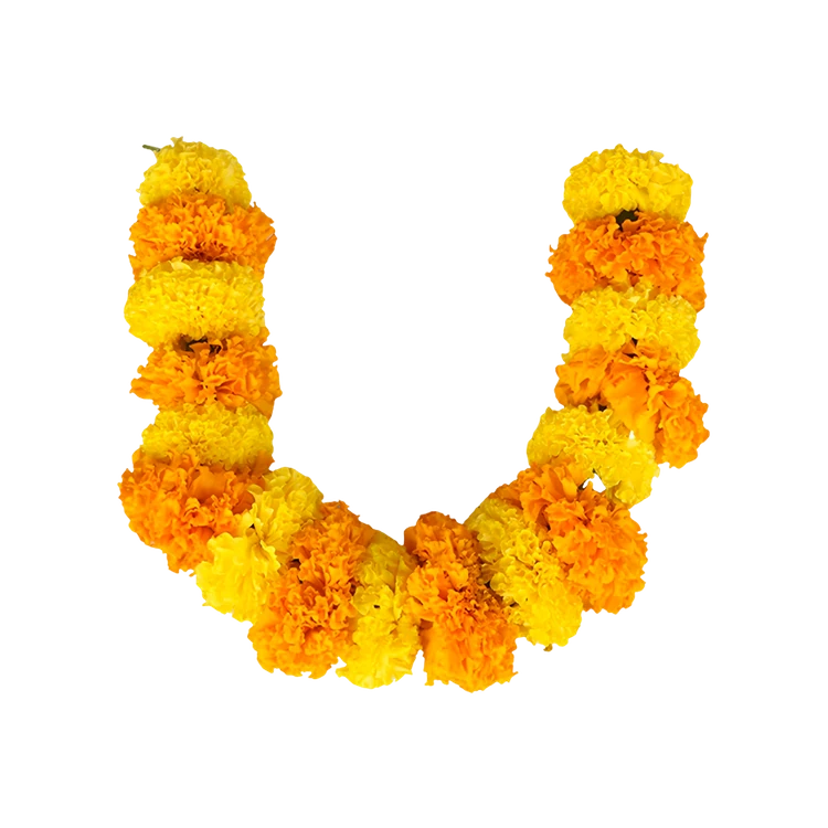 Mix Marigold Flower String Special Offer