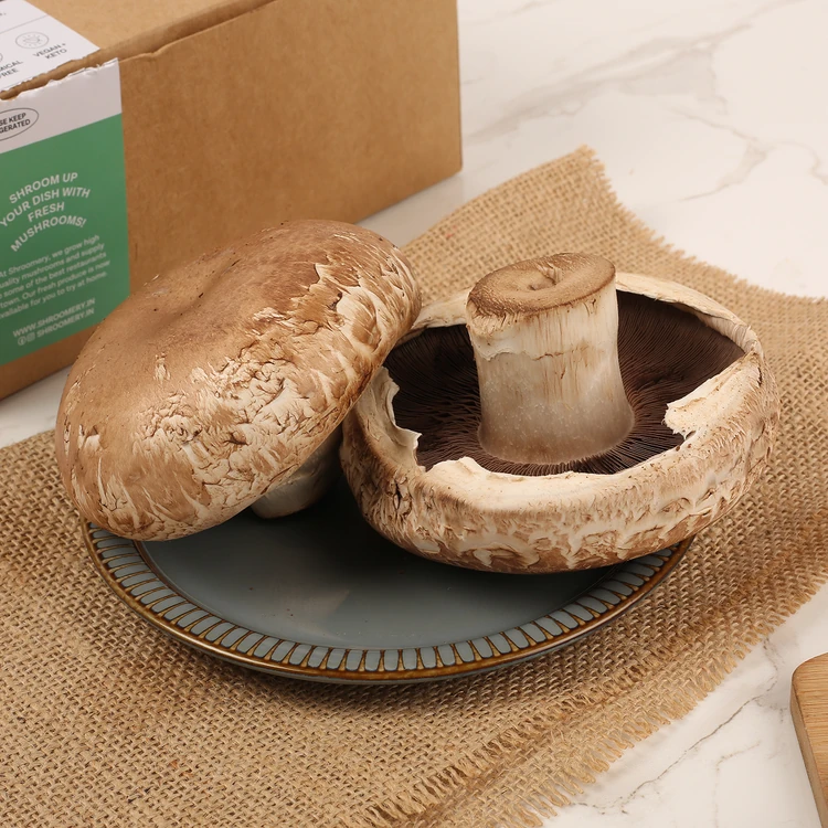 Portobello Mushroom (Anabe)