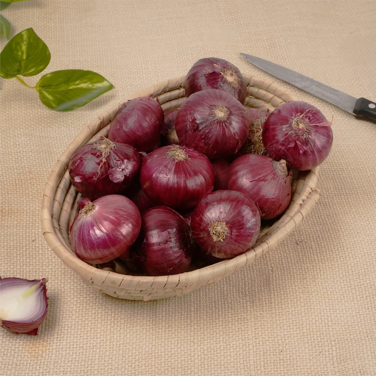 Organically Grown Onion - 500 g (Eerulli)