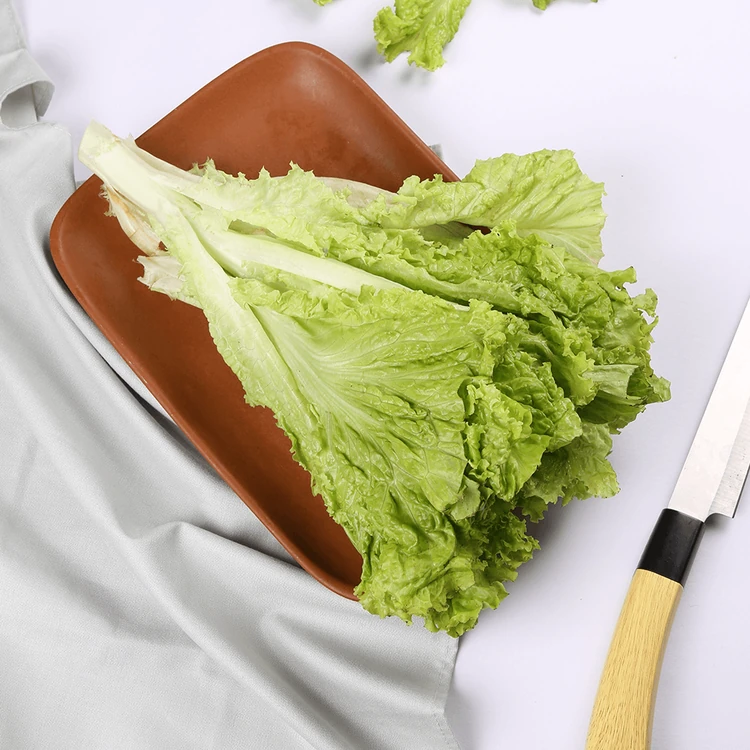 Green Lettuce (Letis Soppu)