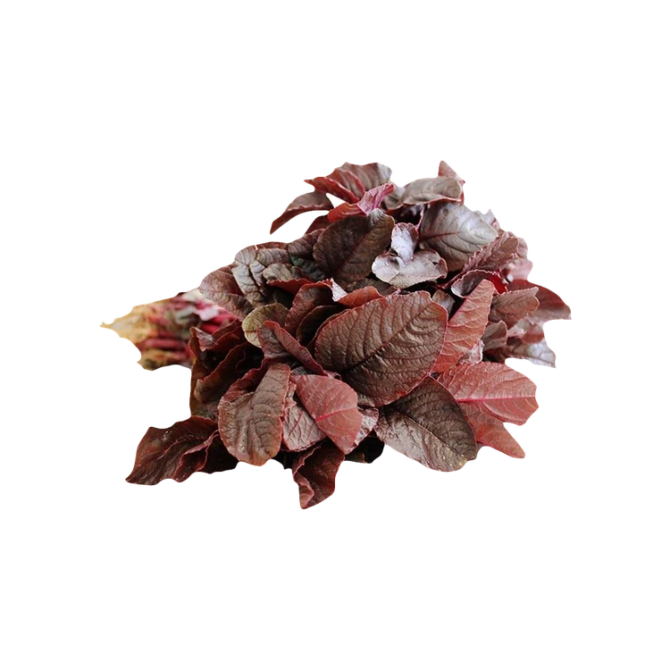 Red Amaranthus Leaves - Hydroponically Grown (Dantu Soppu)