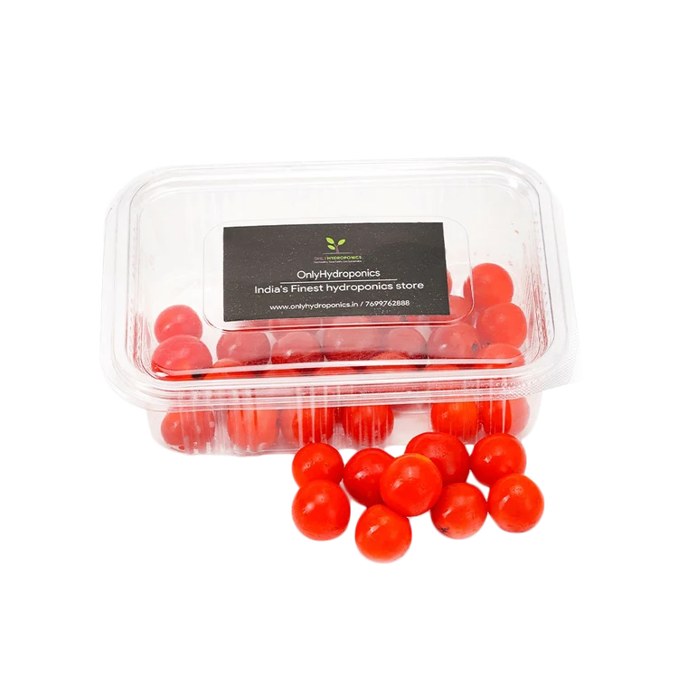 Hydroponic Red Cherry Tomatoes / Grape Tomatoes