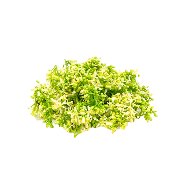 Neem Flower (Beevina Hoovu)