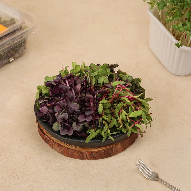 Mix Microgreens - Living