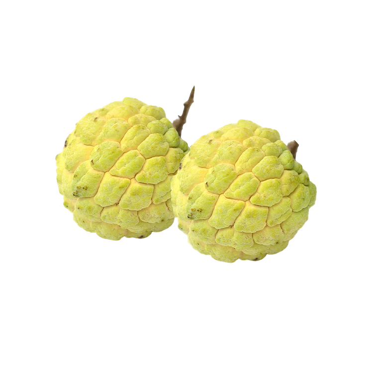 Golden Custard Apple (Seetha Phala)