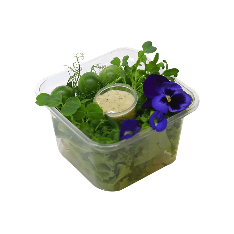 Lush Green Salad Mix