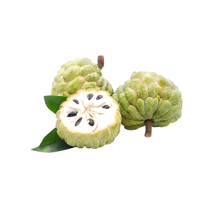Custard Apple (Seetha Phala)