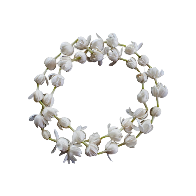 Jasmine Flower String / Gajra Special Offer