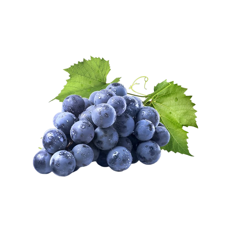 Grapes - Bangalore Blue (Drakshi)