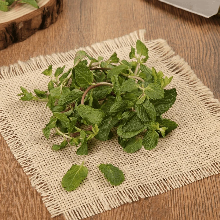 Organically Grown Mint Leaves - 100 g