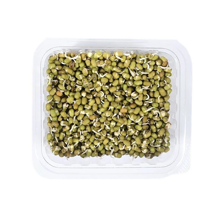 Moong Sprouts (Molke Kalu)