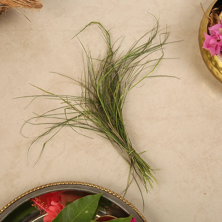 Doob Grass / Durva Grass (Garike) (Garikahullu)