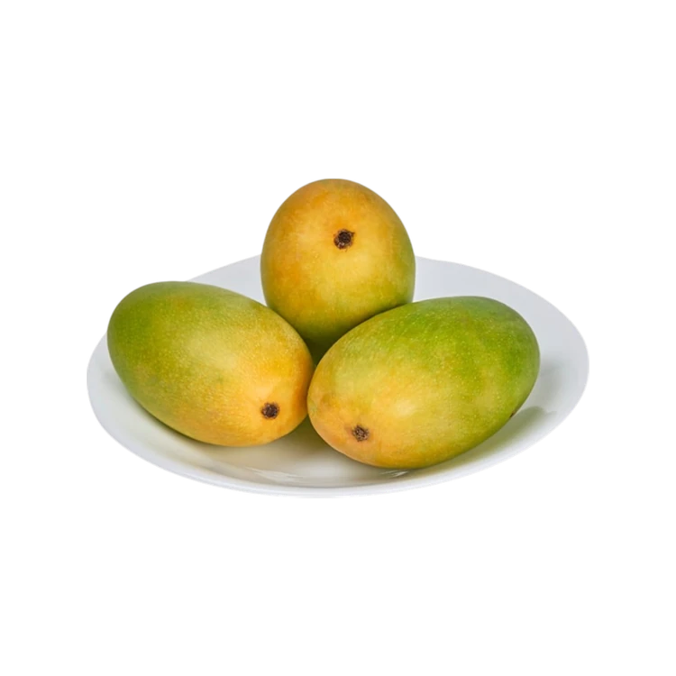 Organically Grown Dasheri Mango